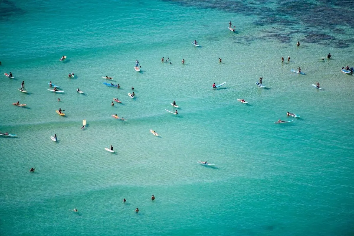 Modern Surf Chic Studio In Waikiki Honolulu
