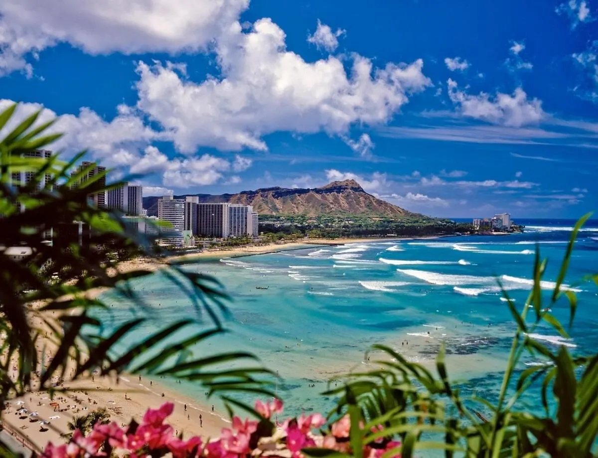 Lägenhet Modern Surf Chic Studio In Waikiki Honolulu
