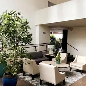 Condotel With Free Parking Wifi Ac By Stayhawaii ホノルル
